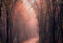 星空体育官网：[英超]第35轮：西汉姆联VS利物浦.