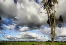 星空体育官网：[CBA]张宁持球加速突破 右手挑篮绝杀对手.