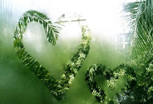 太励志！19岁李新翔已获伊万高度关注：去年还在踢中乙！.