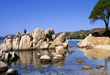 [柔道]鏖战7分54秒 刘晗获得女子63公斤级冠军.